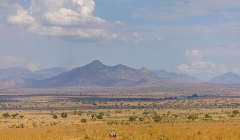 What to Pack for Safari – A Detailed Safari Packing List