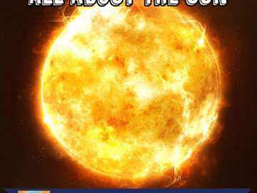 Everything You Ever Wanted to Know About the Sun