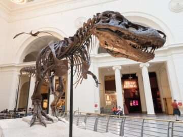 Museum Cities in the US: A Journey Through Time